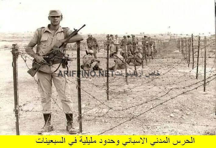 nador299