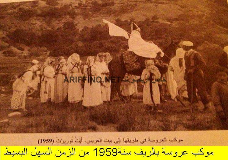 nador304