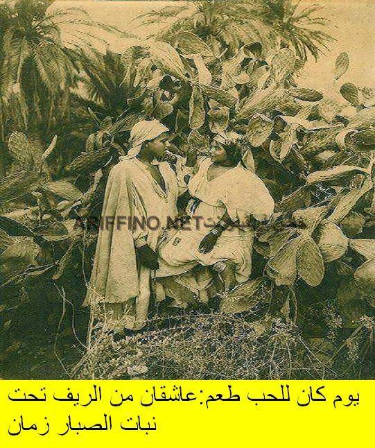 nador306