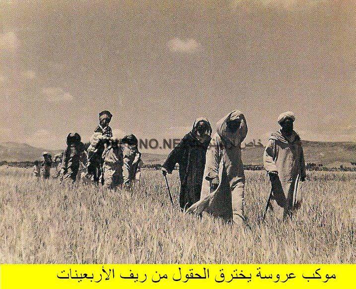 nador307