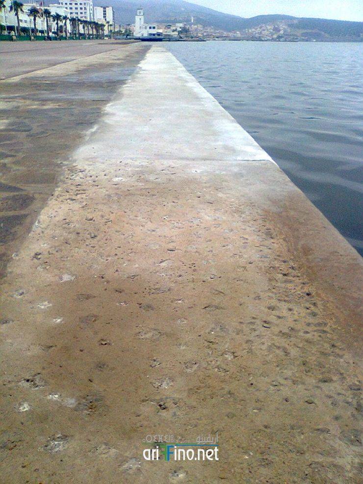 nador310