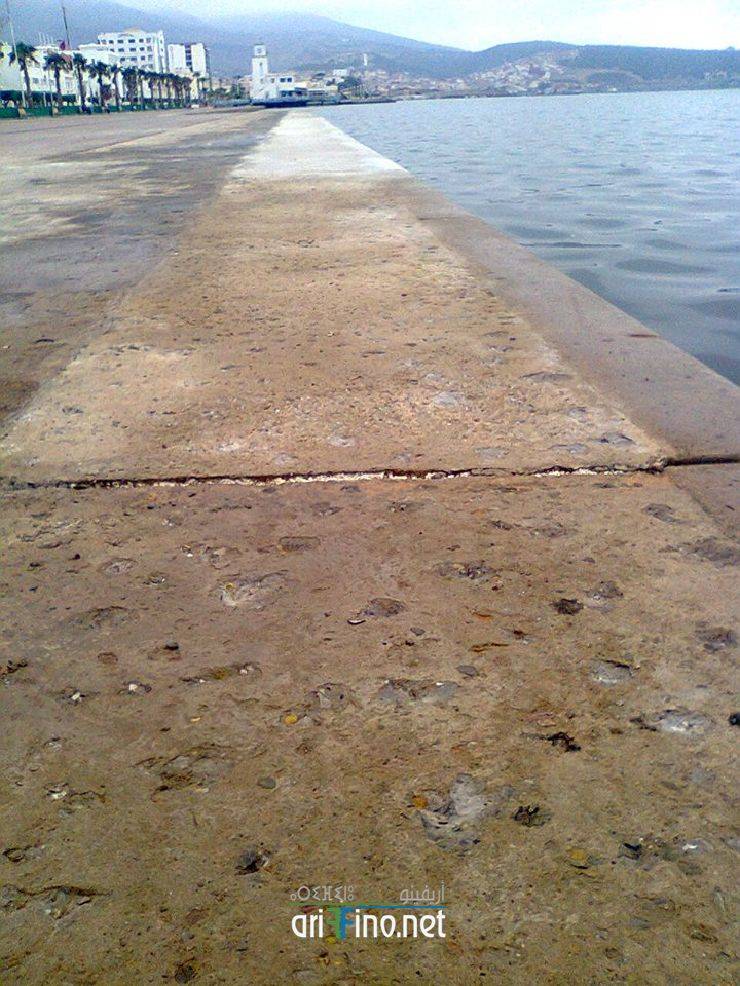 nador311