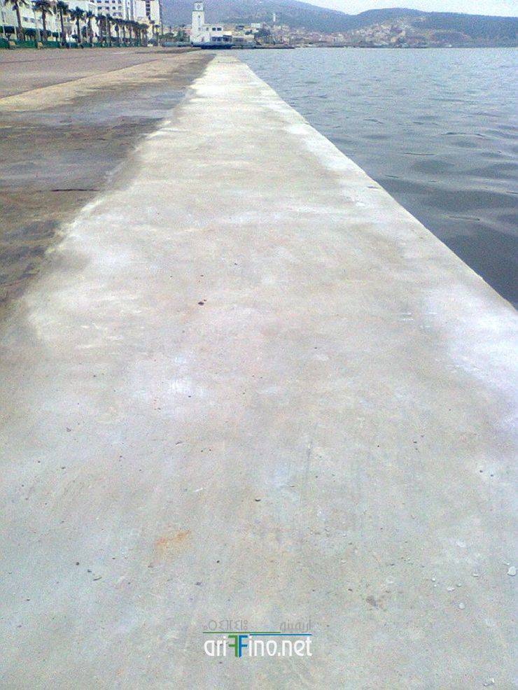 nador313