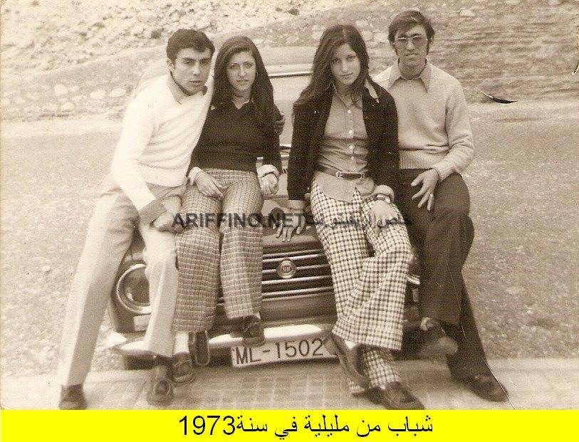 nador317