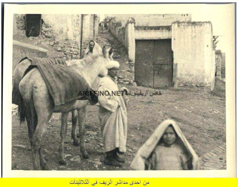 nador320