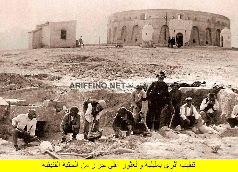 nador337