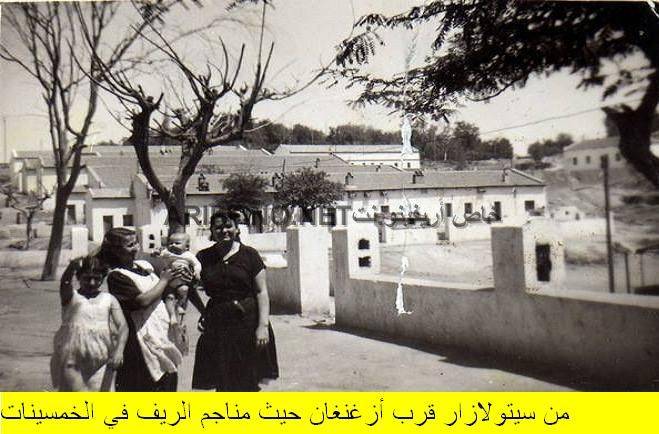 nador338