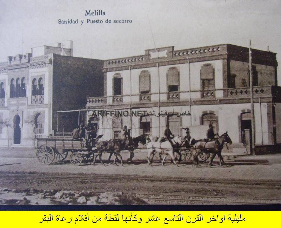 nador350
