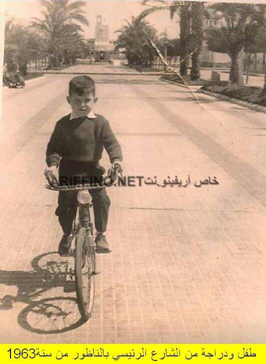 nador353