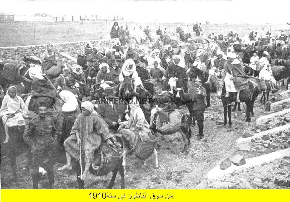 nador354
