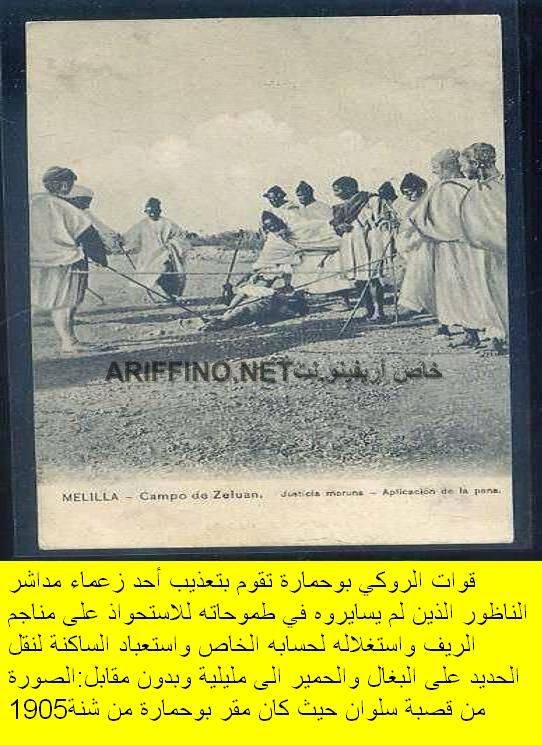 nador355