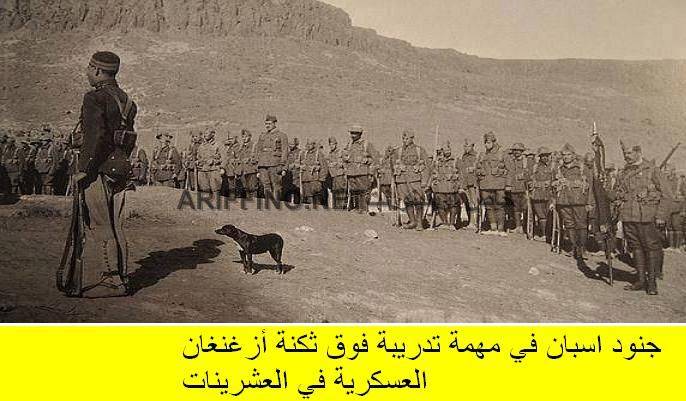 nador357