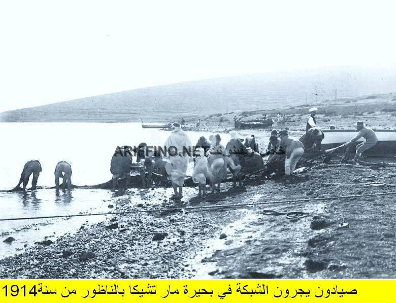 nador359