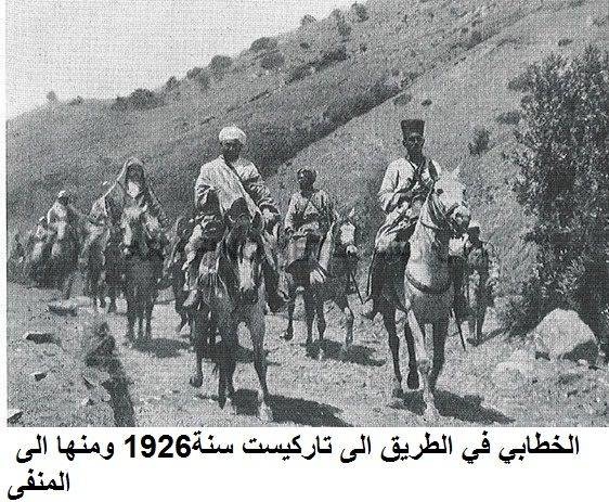 nador438