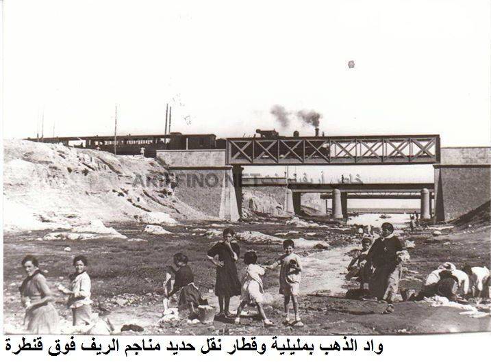 nador439