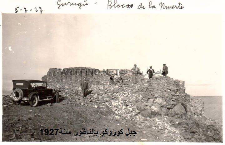nador445