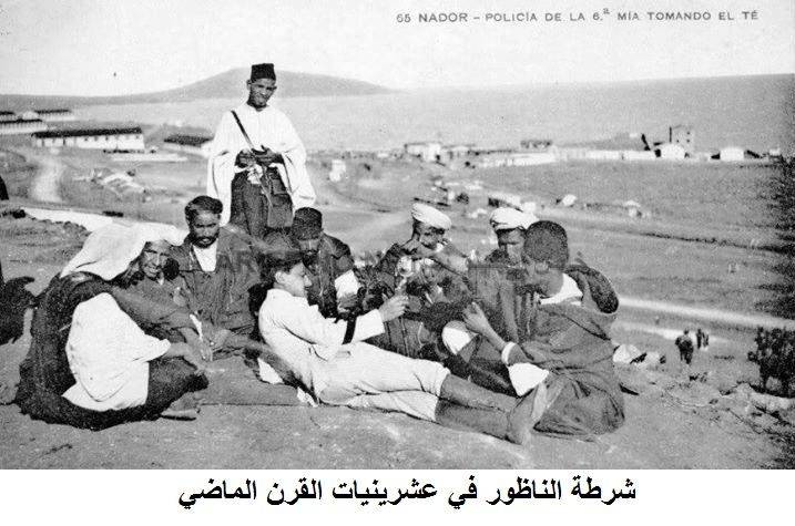 nador446