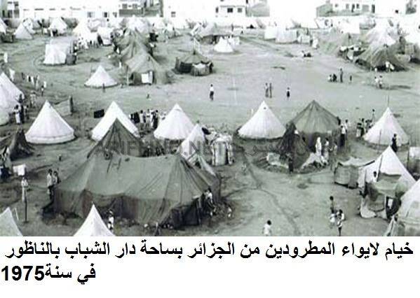nador452