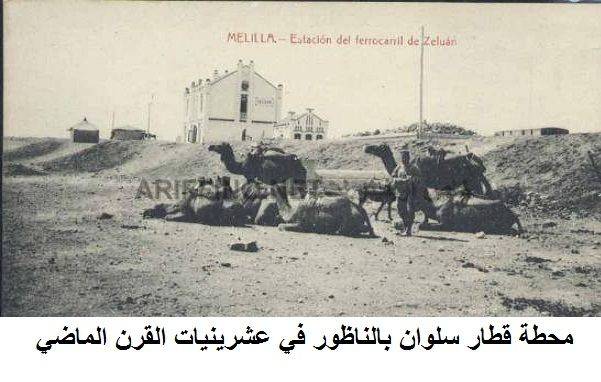 nador453