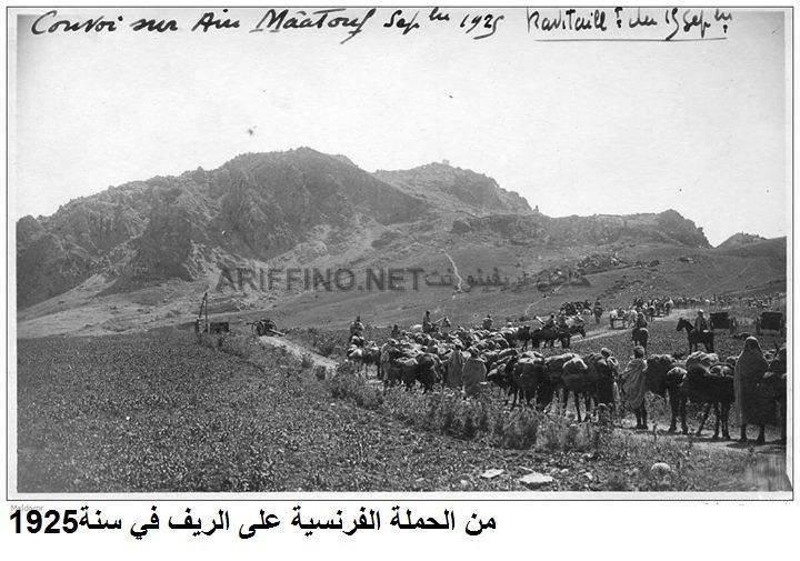 nador463