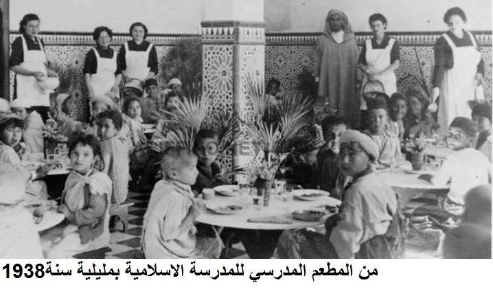 nador479