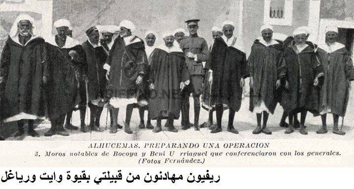 nador491