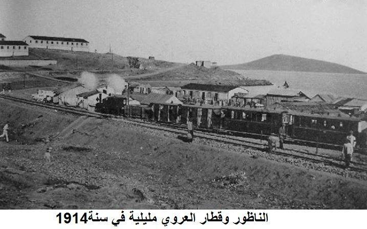 nador499