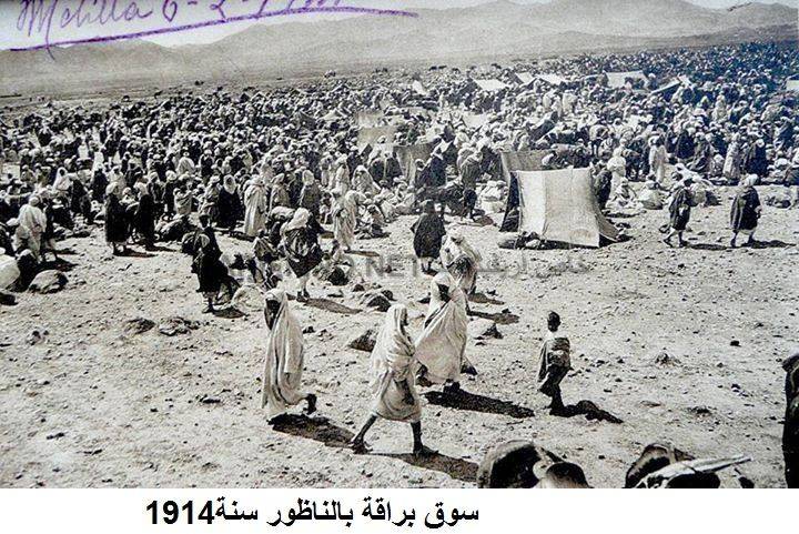 nador503