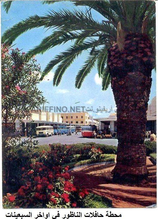 nador508