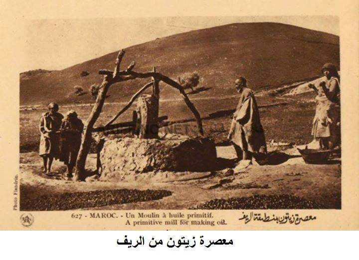 nador512