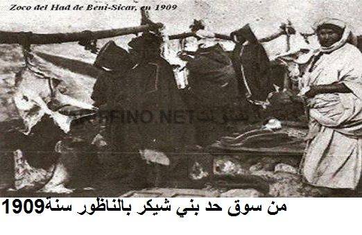 nador517