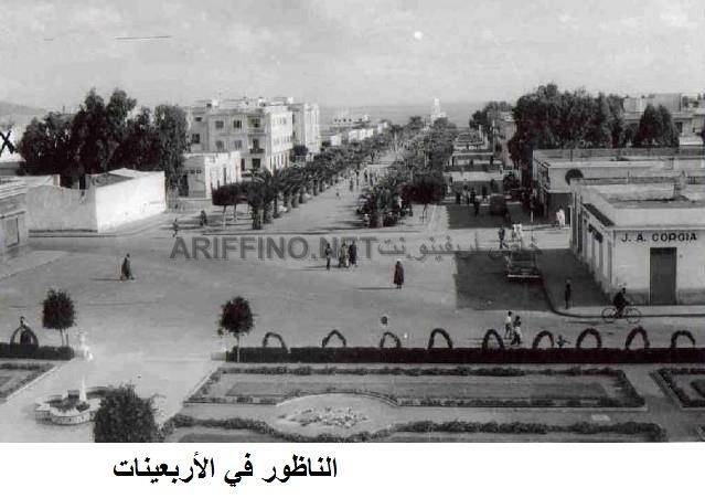 nador528