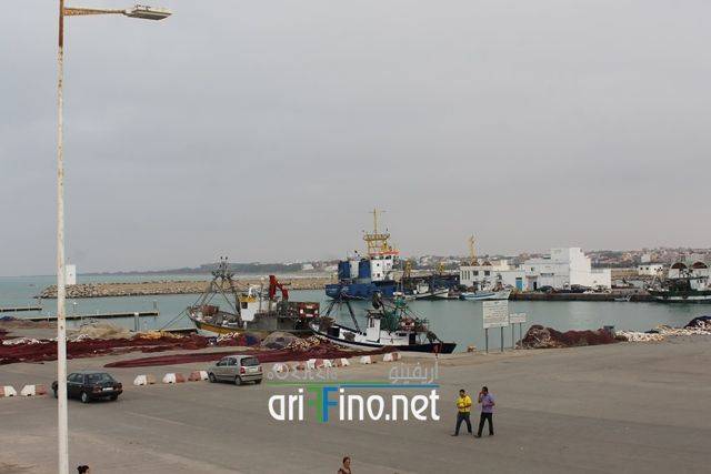 nador536