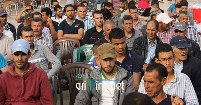 nador565