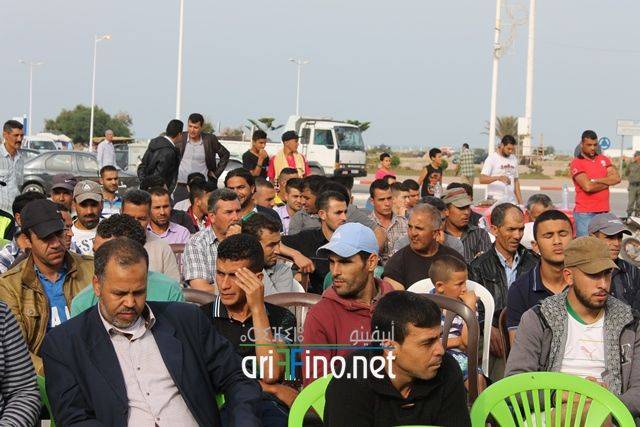 nador566