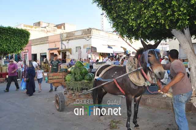 nador618
