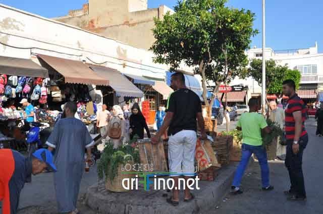 nador620