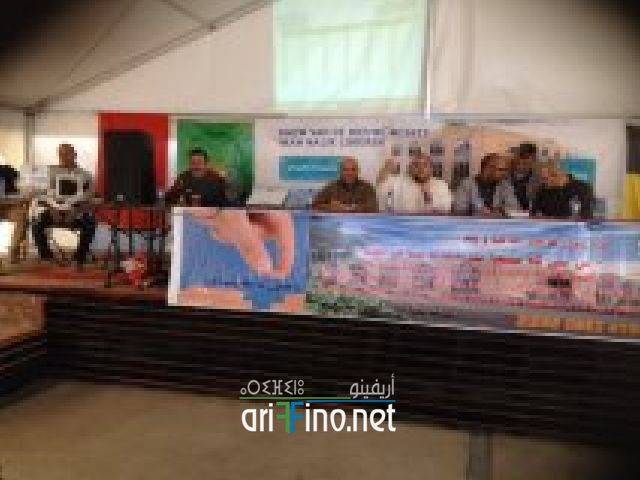 nador653