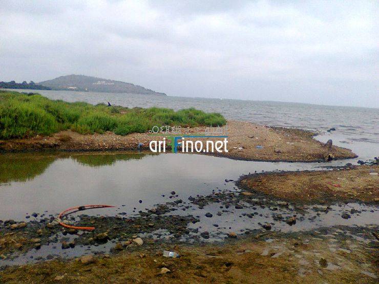 nador711