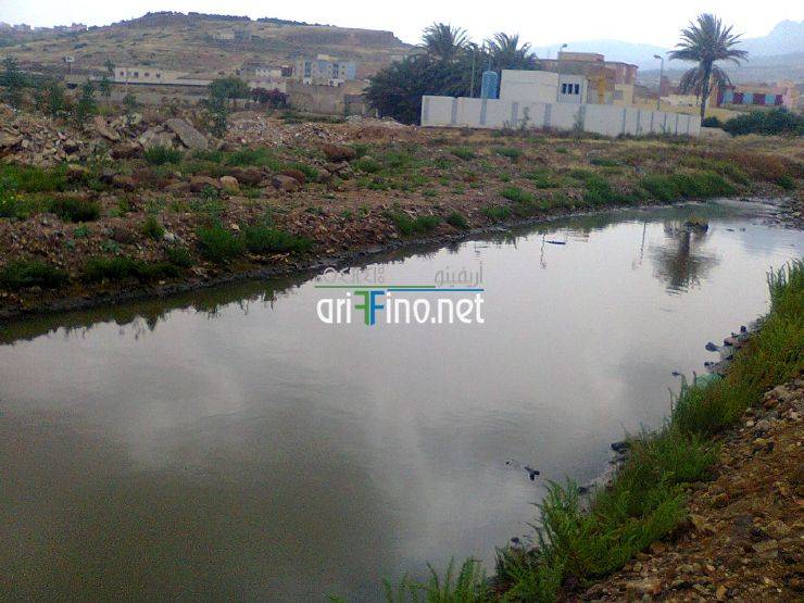 nador712