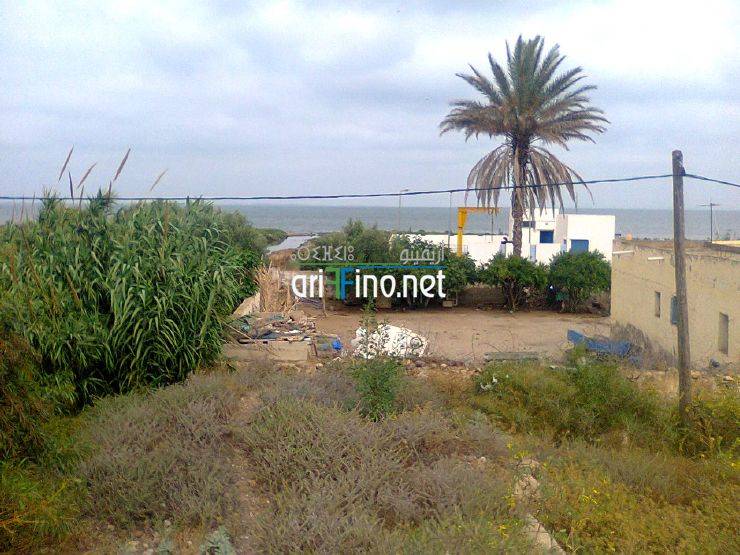 nador721