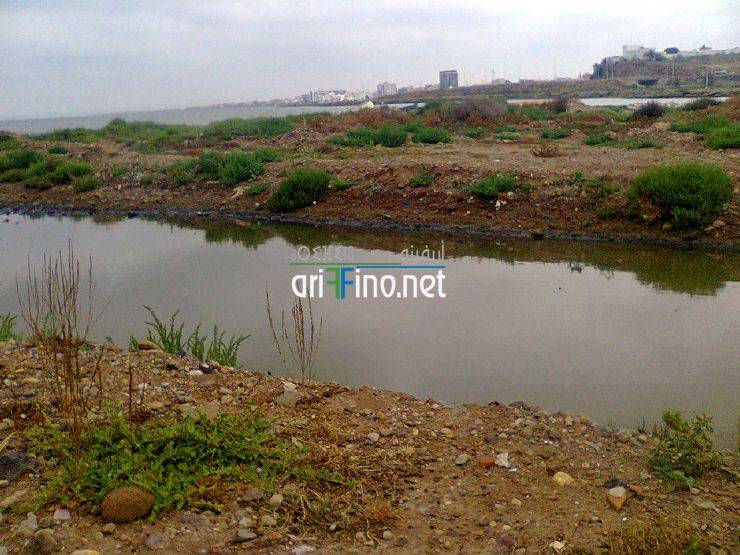 nador724