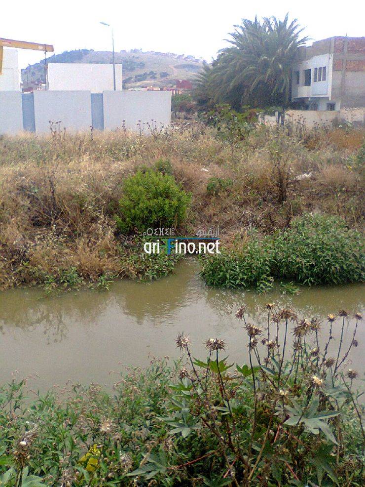 nador728