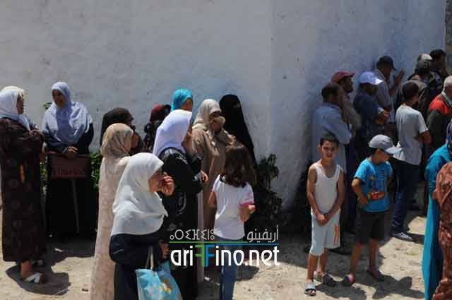 nador733