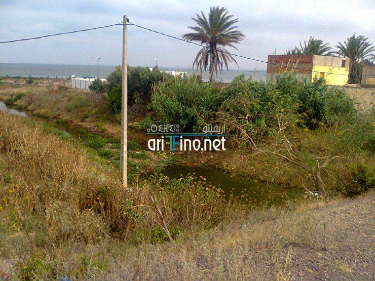 nador734