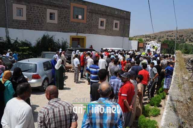 nador734