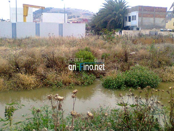 nador735