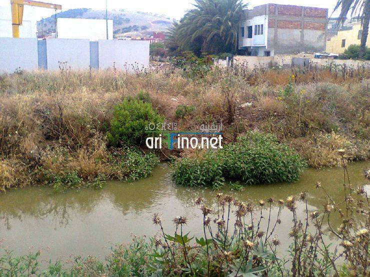 nador736