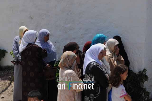 nador736