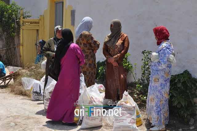nador763